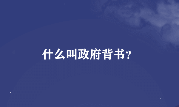 什么叫政府背书？