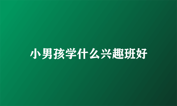 小男孩学什么兴趣班好