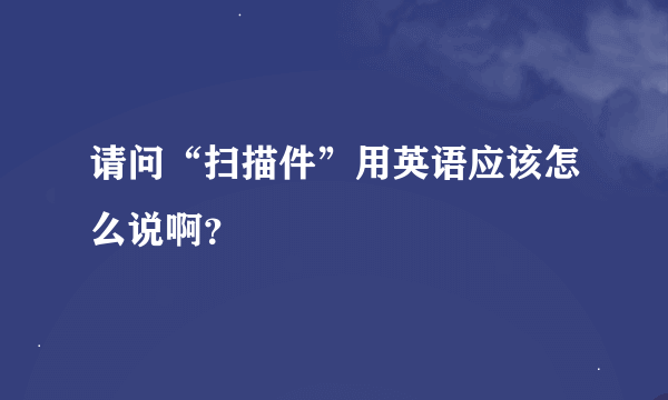 请问“扫描件”用英语应该怎么说啊？