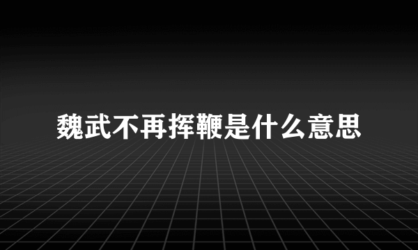 魏武不再挥鞭是什么意思