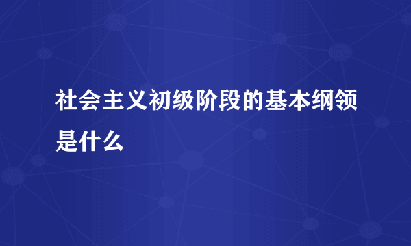 社会主义初级阶段的基本纲领是什么