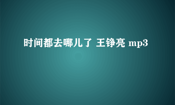 时间都去哪儿了 王铮亮 mp3