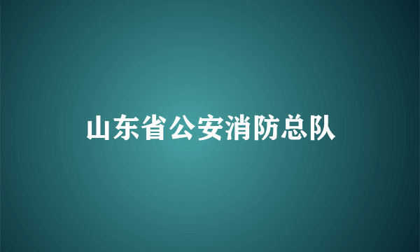 山东省公安消防总队