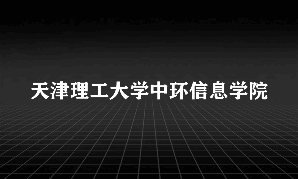 天津理工大学中环信息学院