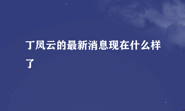 丁凤云的最新消息现在什么样了