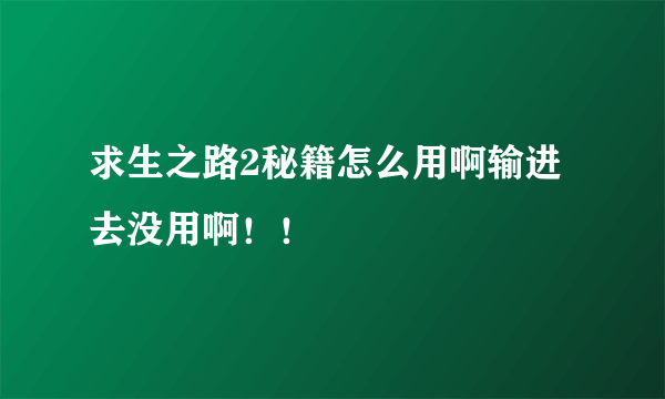 求生之路2秘籍怎么用啊输进去没用啊！！