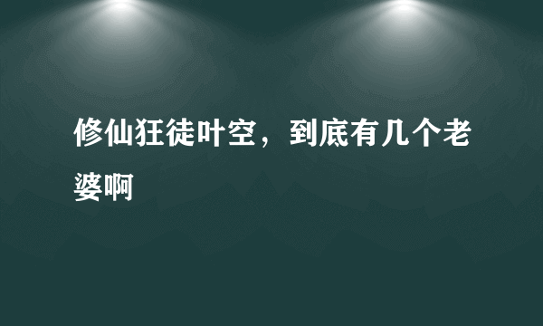 修仙狂徒叶空，到底有几个老婆啊