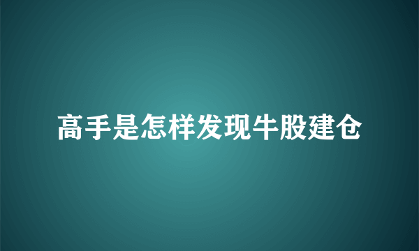 高手是怎样发现牛股建仓