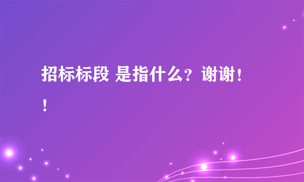 招标标段 是指什么？谢谢！！