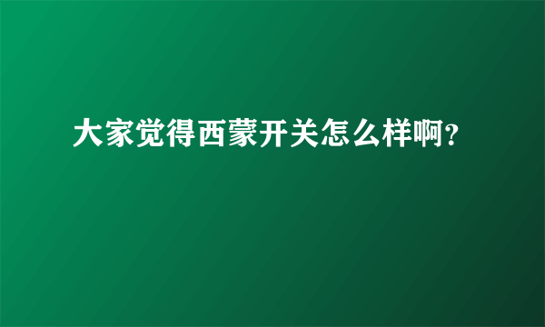 大家觉得西蒙开关怎么样啊？