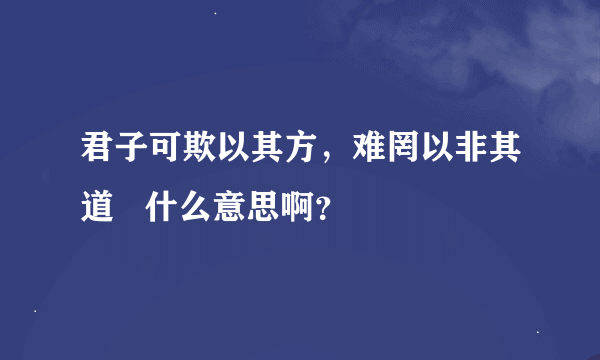 君子可欺以其方，难罔以非其道   什么意思啊？