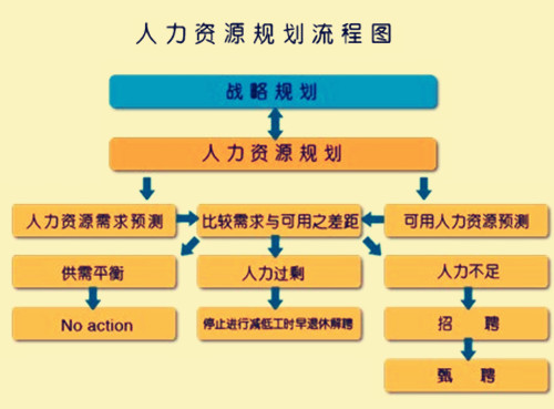 简述人力资源规划的制定程序?