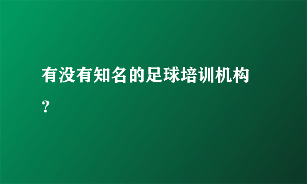 有没有知名的足球培训机构 ？