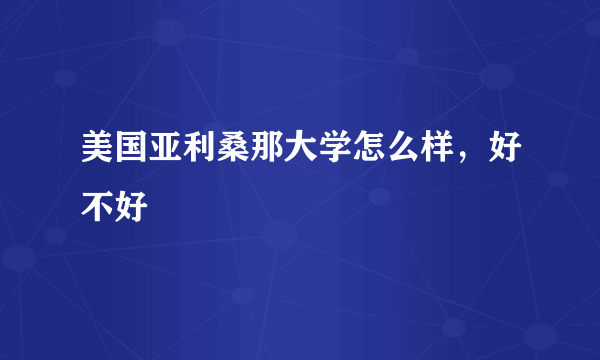 美国亚利桑那大学怎么样，好不好