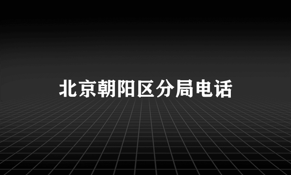 北京朝阳区分局电话