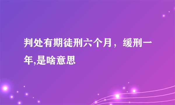 判处有期徒刑六个月，缓刑一年,是啥意思