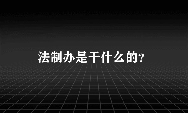 法制办是干什么的？