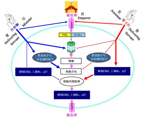 经营协同效应的作用