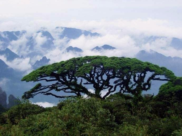 金秀圣堂山景区门票价格多少元