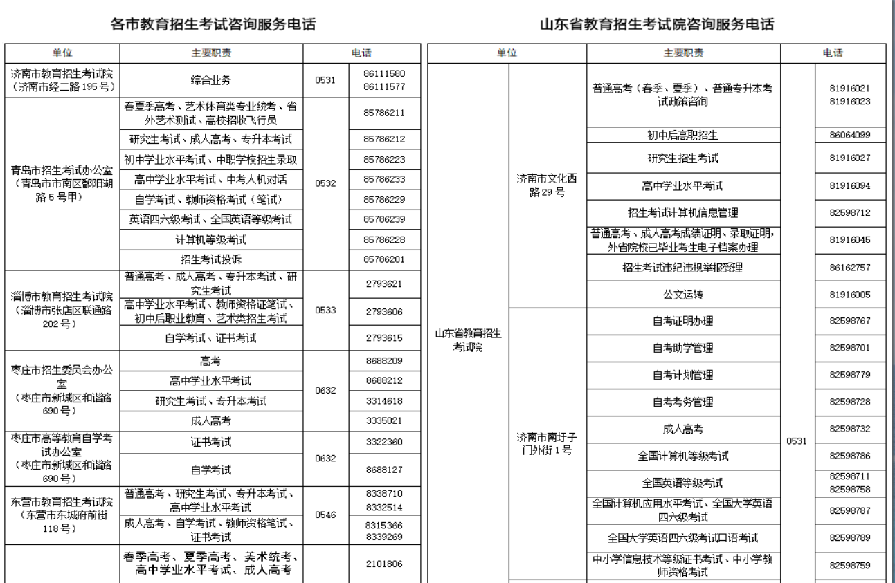 山东省教育招生考试院电话