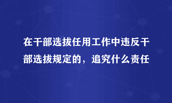 在干部选拔任用工作中违反干部选拔规定的，追究什么责任