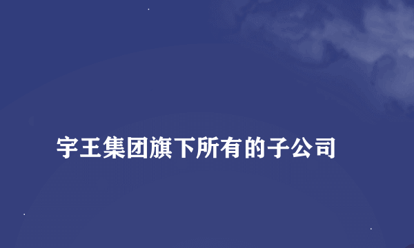 
宇王集团旗下所有的子公司

