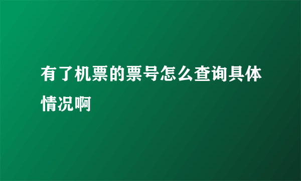 有了机票的票号怎么查询具体情况啊