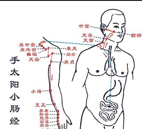 什么是少阳经