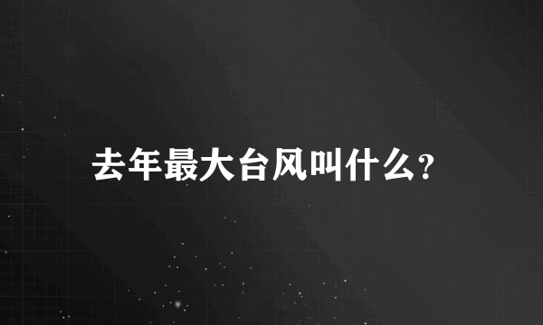 去年最大台风叫什么？