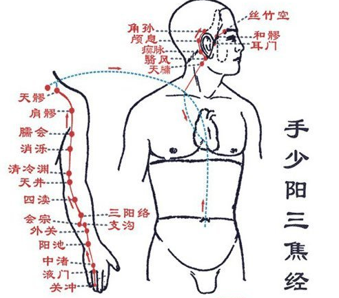 什么是少阳经