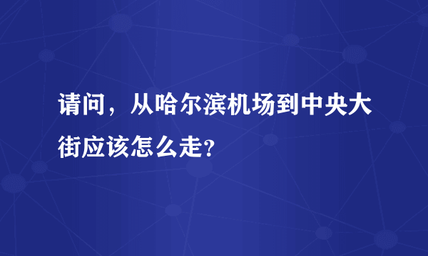 请问，从哈尔滨机场到中央大街应该怎么走？