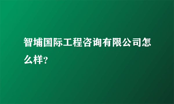 智埔国际工程咨询有限公司怎么样？