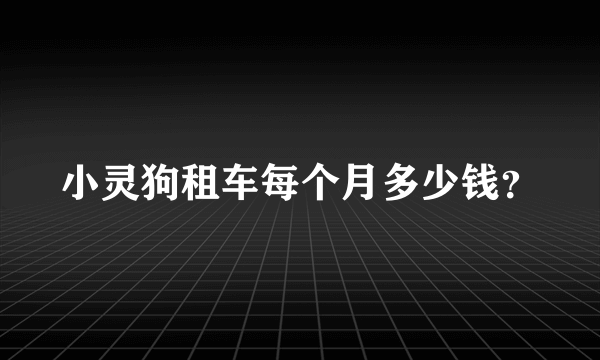 小灵狗租车每个月多少钱？