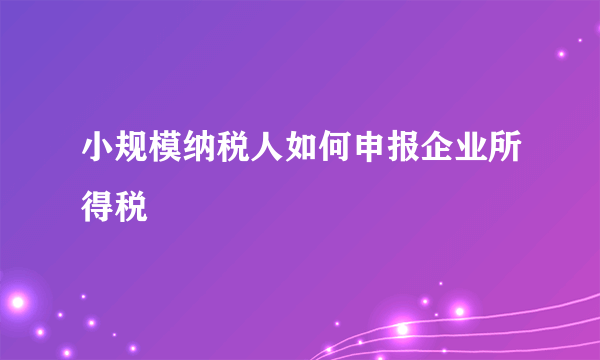 小规模纳税人如何申报企业所得税