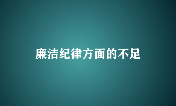 廉洁纪律方面的不足