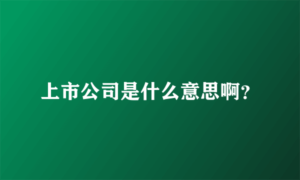 上市公司是什么意思啊？