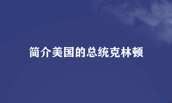 简介美国的总统克林顿