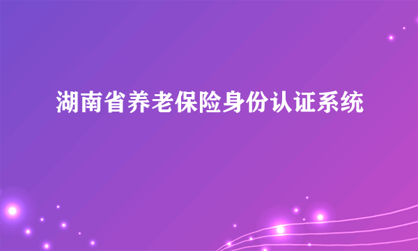 湖南省养老保险身份认证系统