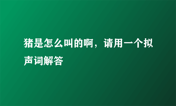 猪是怎么叫的啊，请用一个拟声词解答