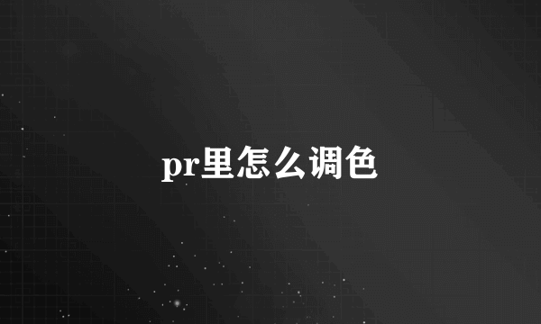 pr里怎么调色