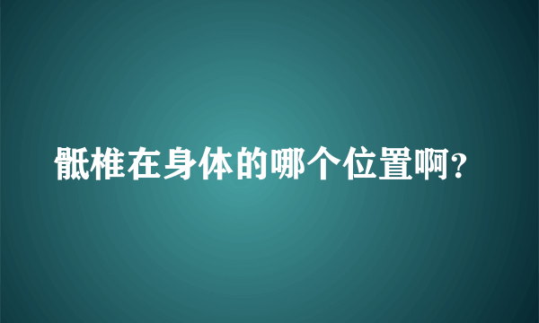 骶椎在身体的哪个位置啊？