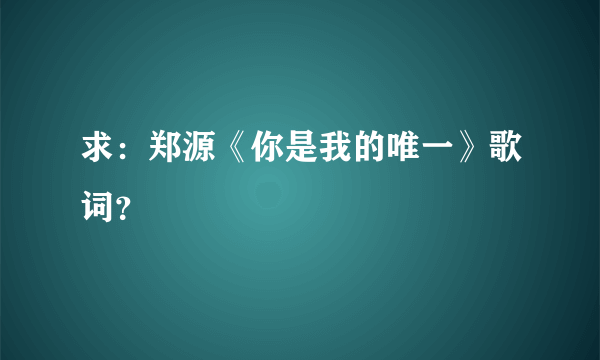 求：郑源《你是我的唯一》歌词？