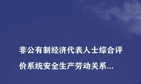 
非公有制经济代表人士综合评价系统安全生产劳动关系生态环境保护怎么填写

