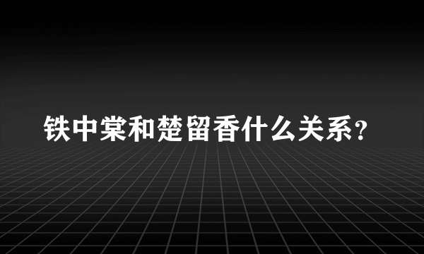 铁中棠和楚留香什么关系？