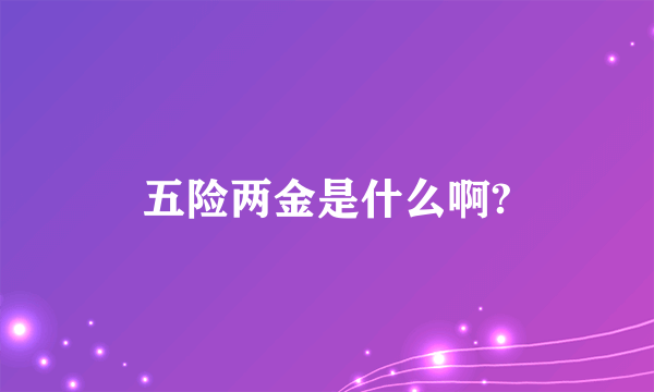 五险两金是什么啊?