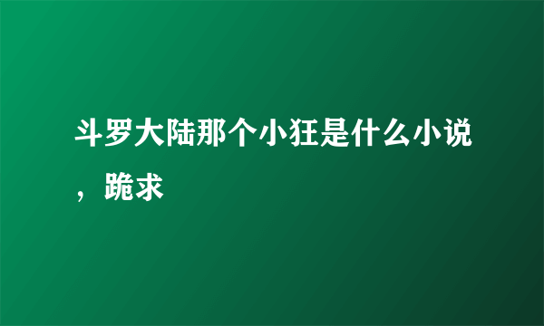 斗罗大陆那个小狂是什么小说，跪求