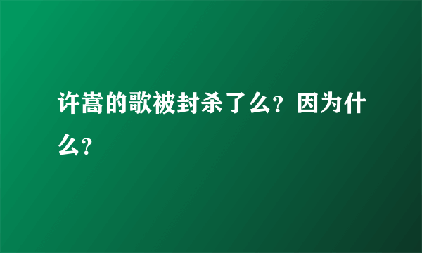 许嵩的歌被封杀了么？因为什么？