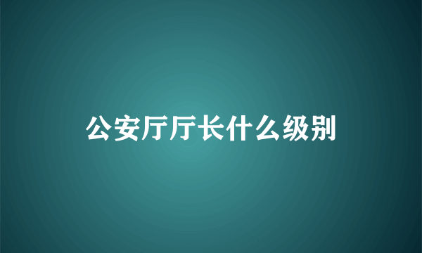 公安厅厅长什么级别