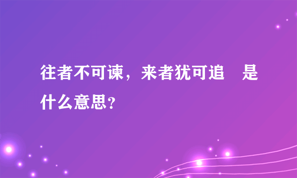 往者不可谏，来者犹可追　是什么意思？