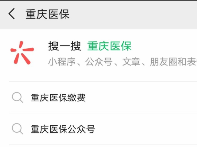 重庆医保怎么网上缴费